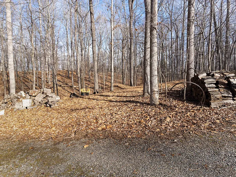 102 Forest Oaks Dr — Photo 59