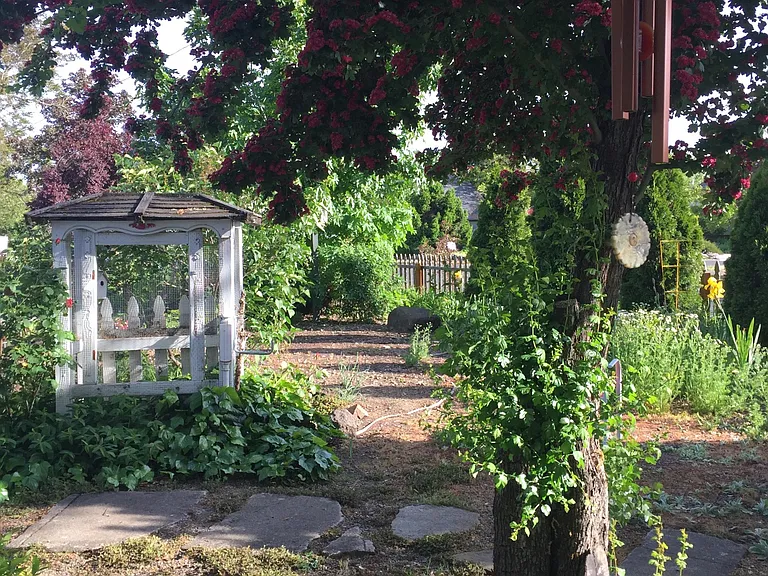 View from the front porch