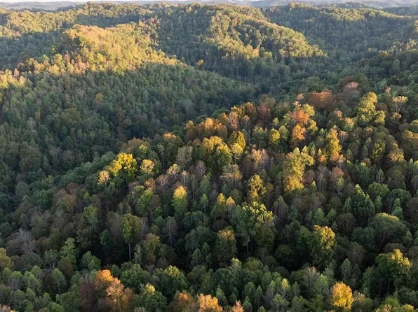 0 Lee Branch Rd Lot Wp001, Vanceburg, KY 41179