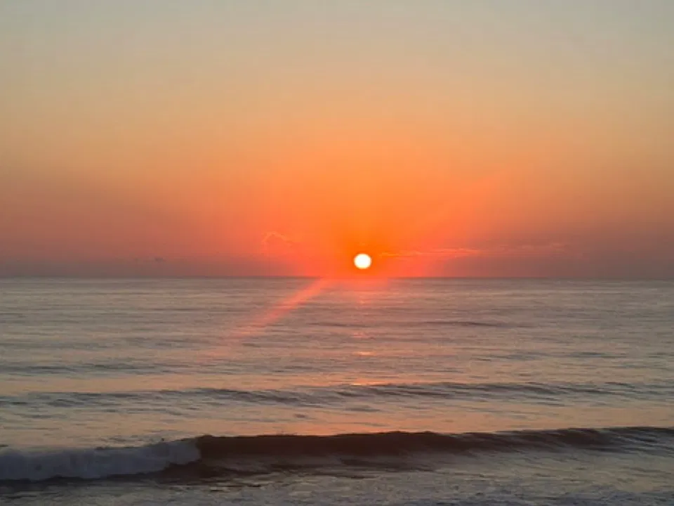 2225 Highway A1A #411