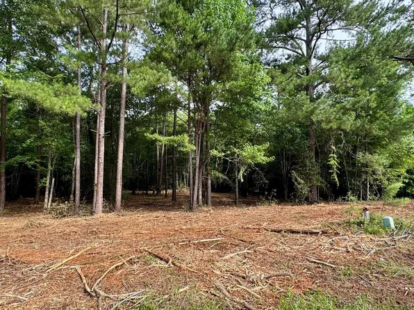 LOT 414 Willow Lake Dr, Leesburg, GA 31763