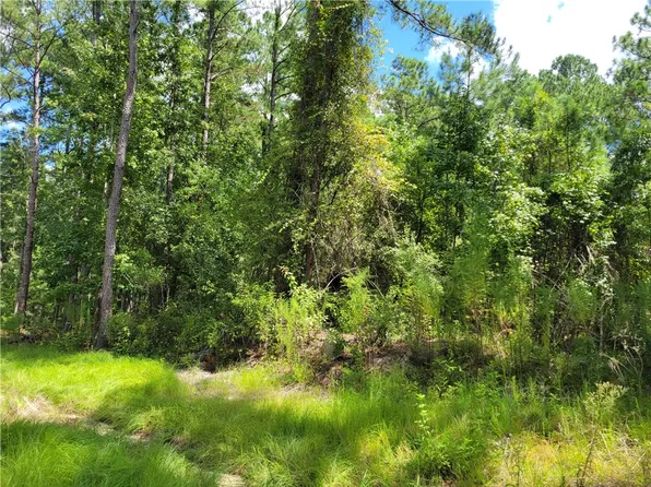 123 Winn Clay Dr, Waycross, GA 31501