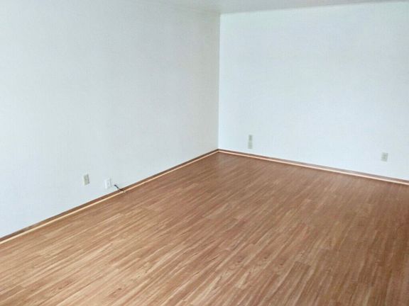 New luxury vinyl plank floor