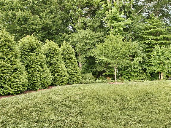 3rd image of 3554 Cameron Creek Dr