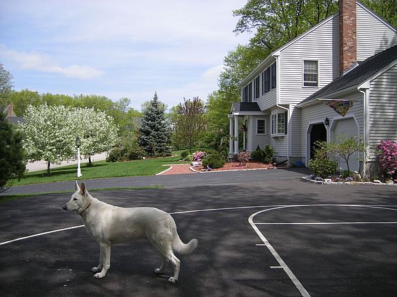 Courtside to frontview