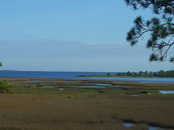 VIew from Master Bedroom