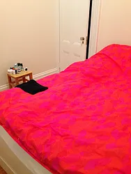 Rented by Picture Realty Inc.