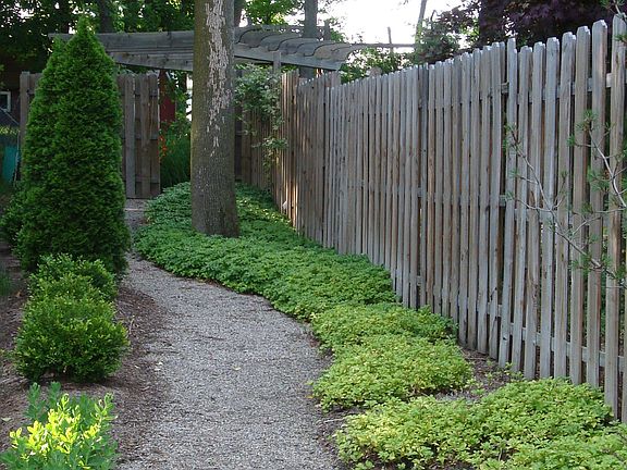 Walkway to backyard