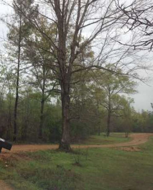 2nd image of 4210 County Road 31