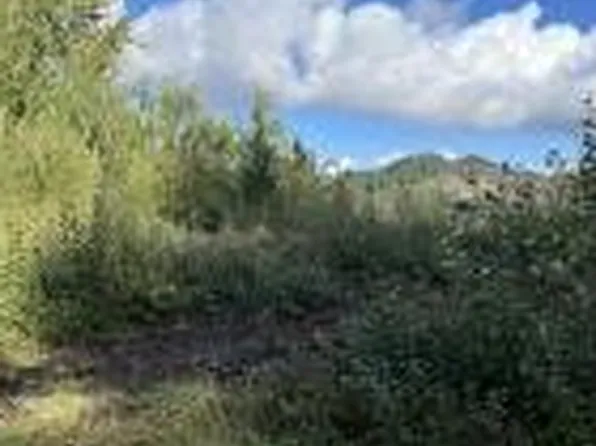 930 NE Highway 20, Toledo, OR 97391