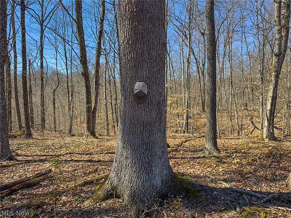 4th image of 0 Stoneburner Rd