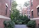 Back patio