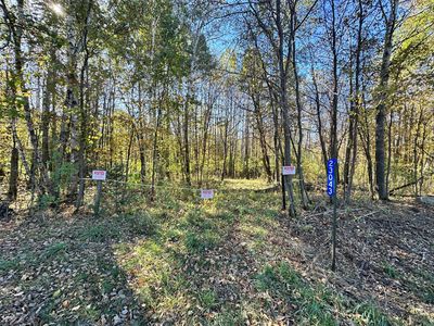 23043 210th St, Long Prairie, MN, 56347