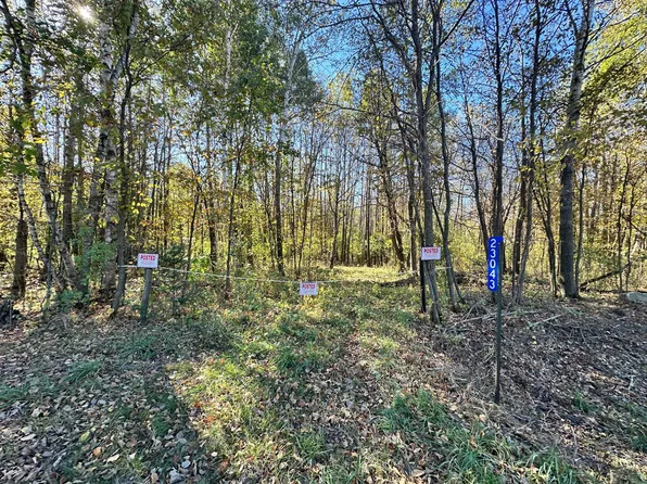 23043 210th St, Long Prairie, MN 56347