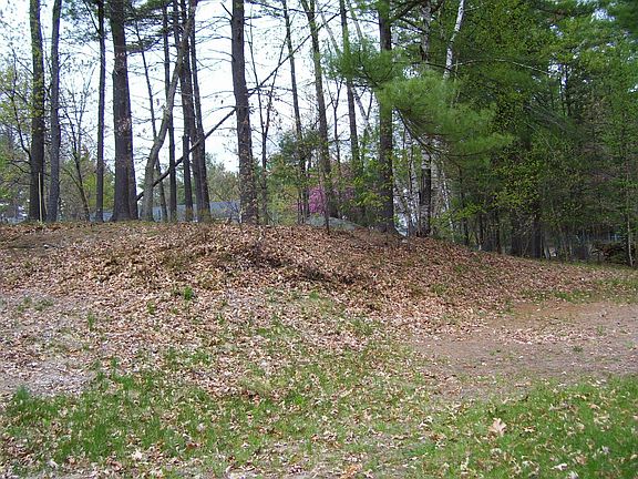 Partially wooded lot