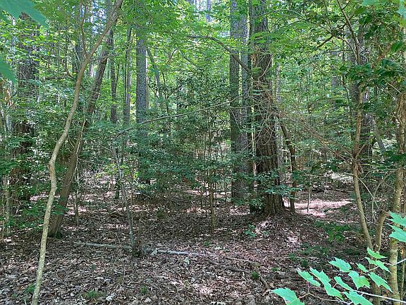 5th image of LOT 75 Par Dr Lot 75