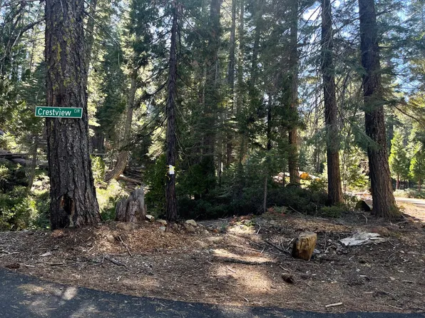 2870 Crestview Cir, Strawberry Valley, CA 95981