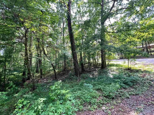 0 Lance Rd, Savannah, TN 38372