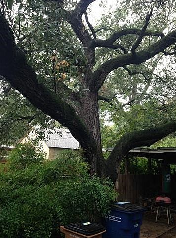 2nd image of 4706 Rue St