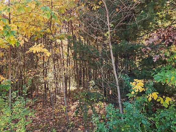 3rd image of 0 E Riley Thompson Rd