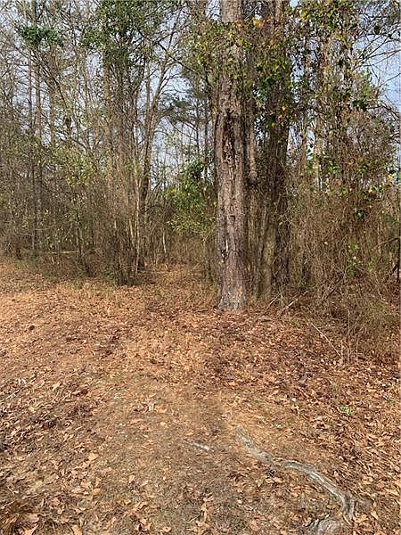 2nd image of 0 Wright Rd