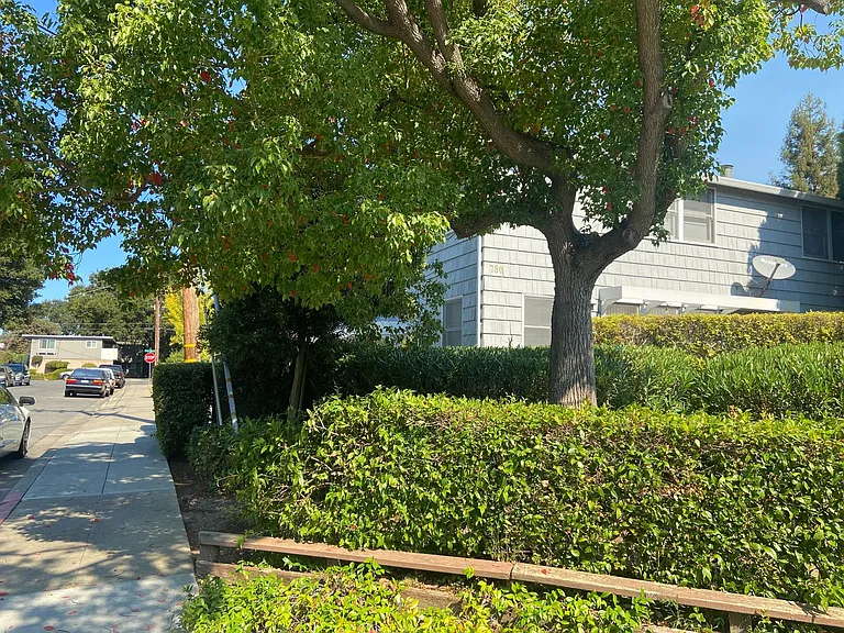 780 Roble — Photo 9