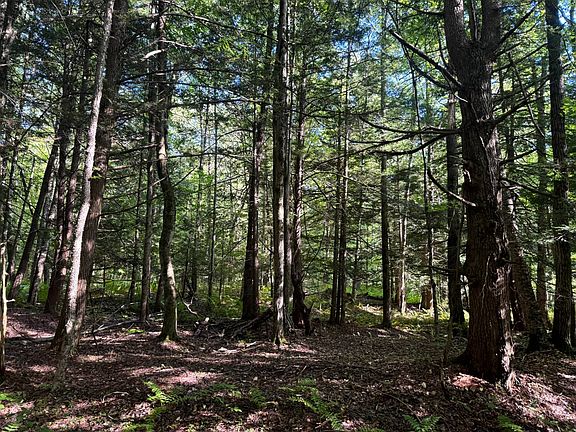 3rd image of 1 Bull Run Rd #1