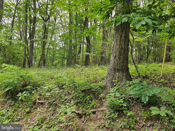 278 Audobon Rd, Hedgesville, WV 25427