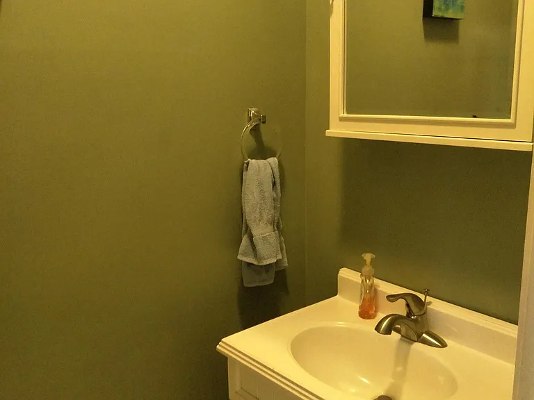 Half bath pic#2