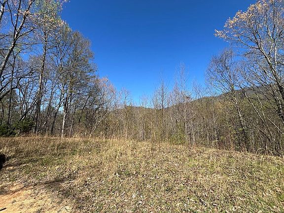 2nd image of 359 Loon Ln