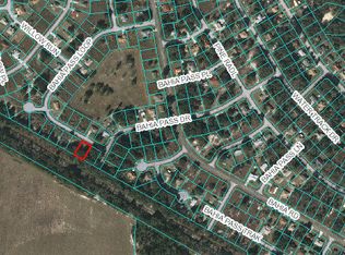 13 Bahia Pass Loop, Ocala, FL 34472