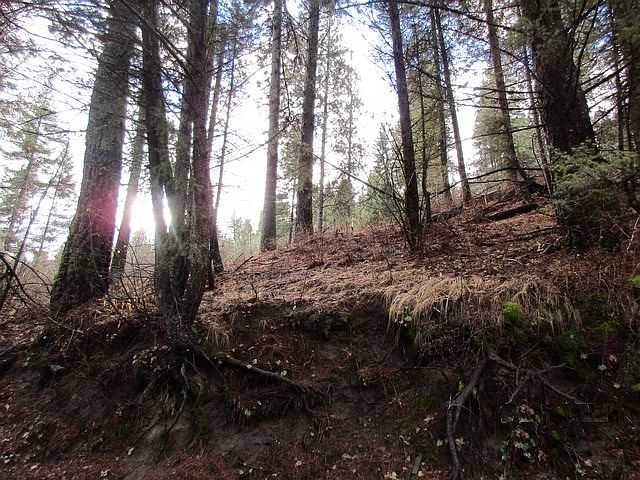 1st image of OF Clear Creek Lot 90