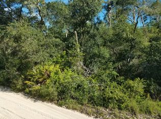 NE 239th St, Fort McCoy, FL 32134