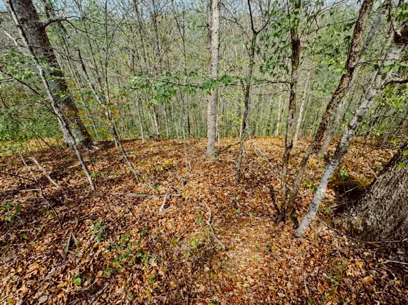 0 Holiday Haven Dr Lot 22/23, Smithville, TN 37166