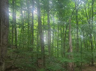 29 0 Trail Ln, Rapid City, MI 49676