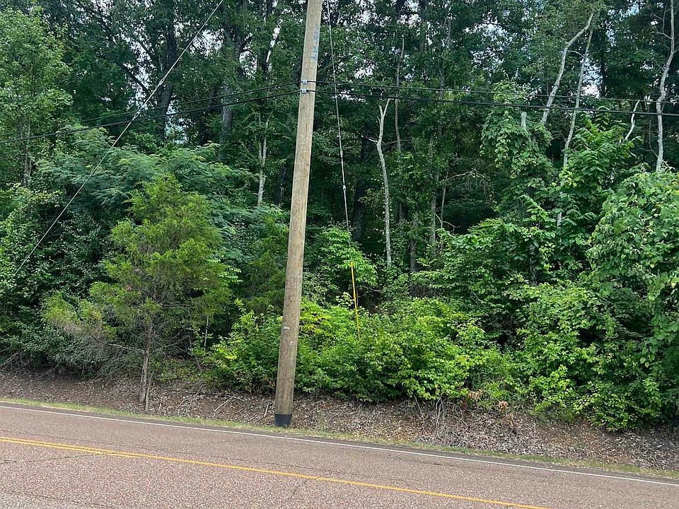 2nd image of 8207 Old Brownsville Rd Lot 8
