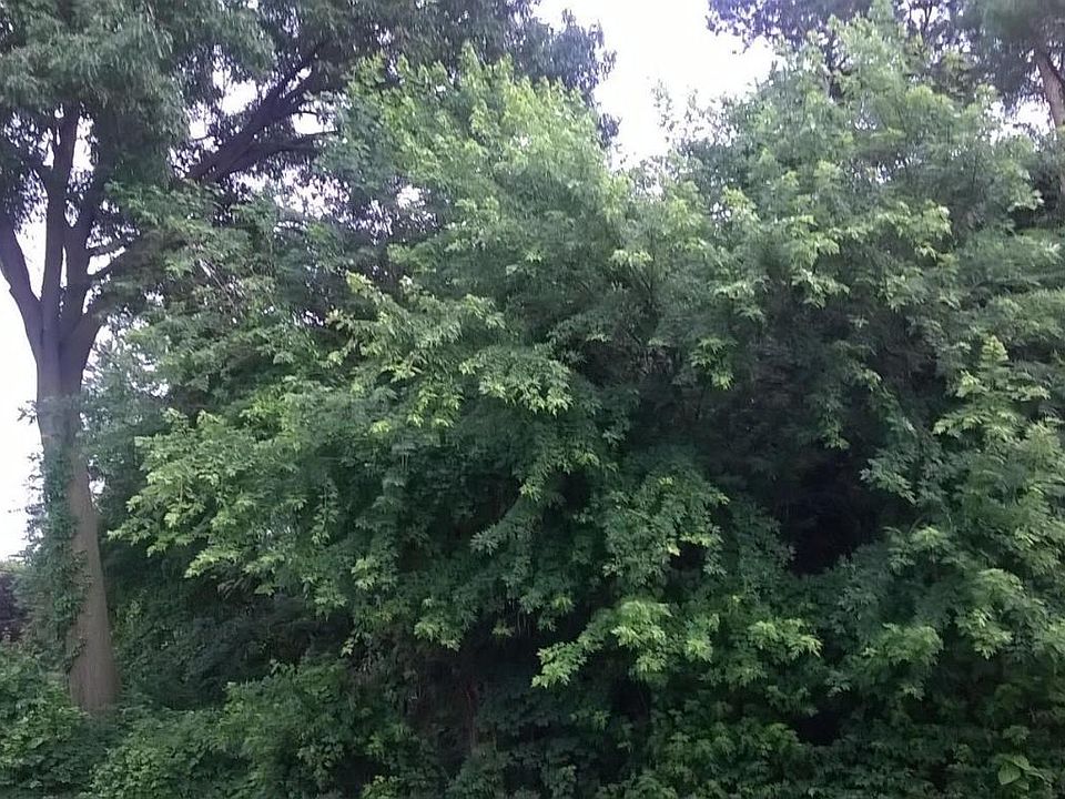 1st image of 1908 N Donna Dr
