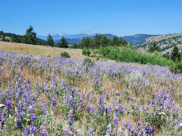 Bull Run Gulch Rd, Butte, MT 59701