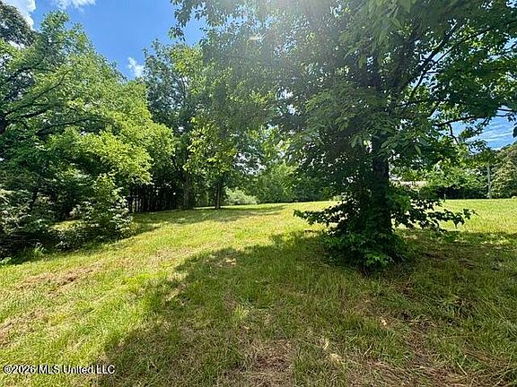 2nd image of 703 Burton Rd