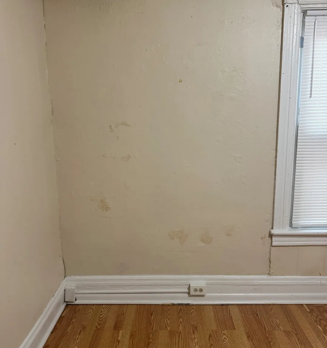 1 bed, $1,100 — Photo 2
