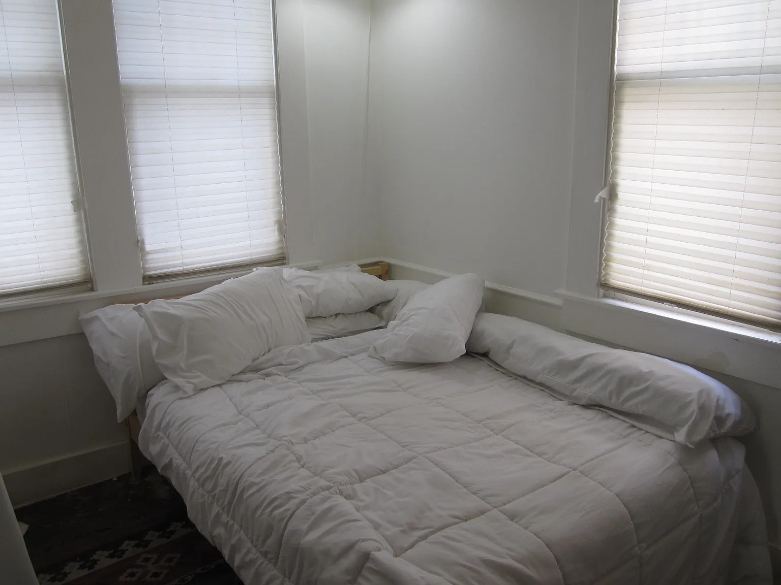 1 bed, 232 sqft, $1,250 — Photo 3