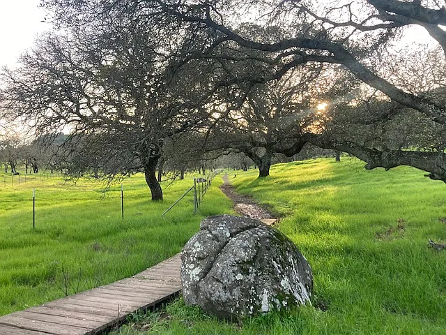 Rockville Park for hiking and mountain biking.