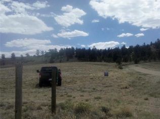 620 Stirrup Rd LOT 31, Hartsel, CO 80449