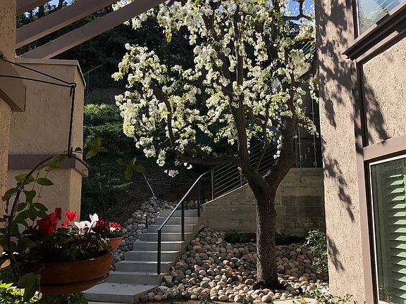 5th image of 4481 Deanwood Dr