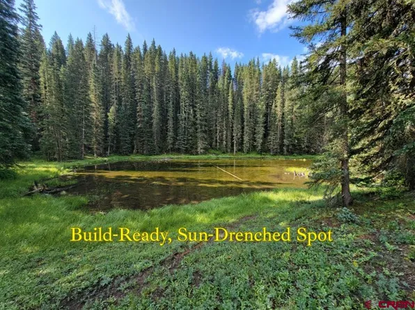 Site 27 Backwoods Lane, Ophir, CO 81435