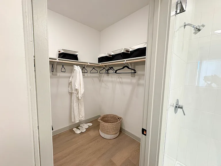 Primary Closet
