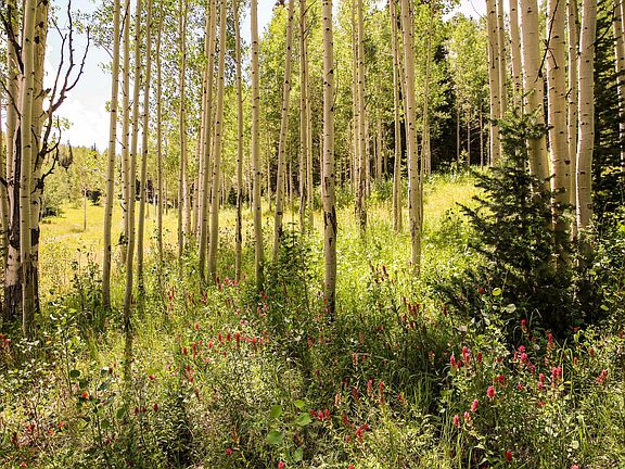 5th image of 306 White Pine Canyon Rd Lot 306