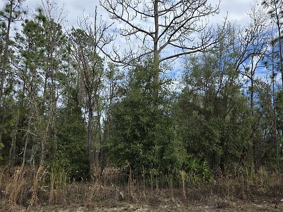 4th image of SW 141st Ct Lot 30