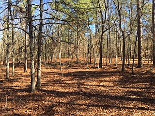 1st image of 0 Broad Oak Drive