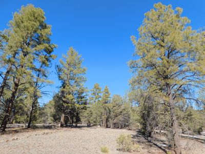 A 7 Lakeview Dr, Quemado, NM, 87829